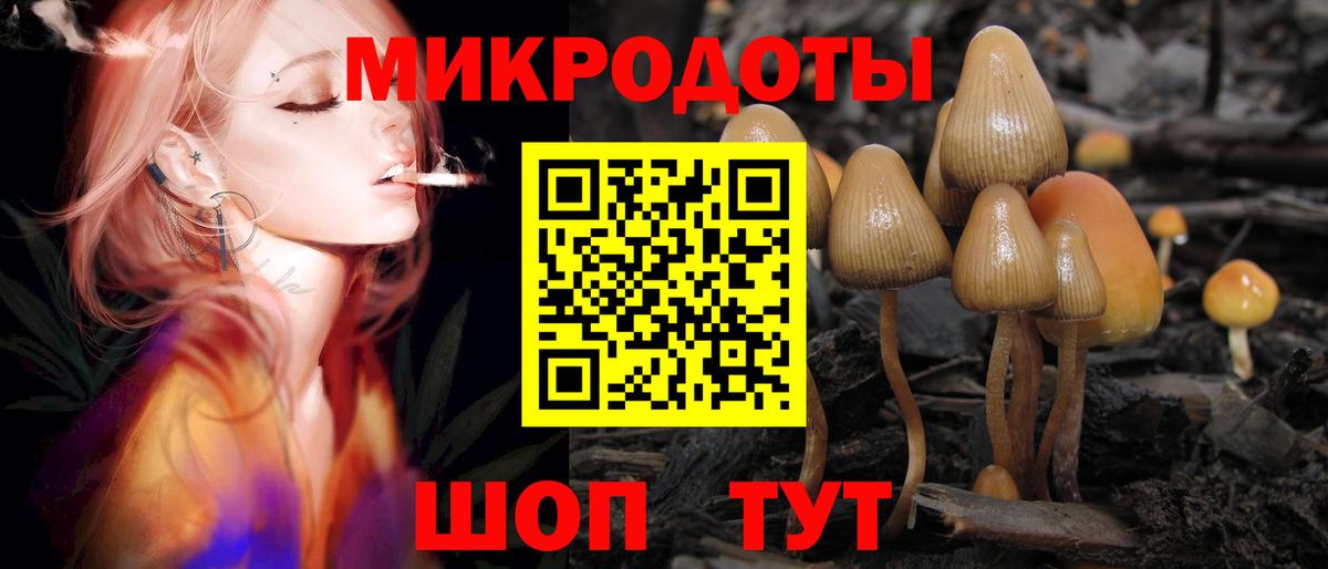 Псилоцибиновые грибы ЛСД Сатка