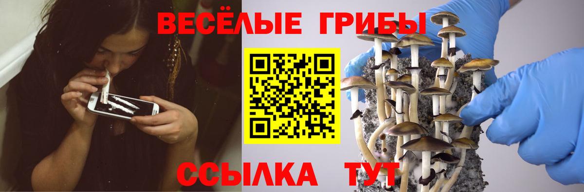 Галлюциногенные грибы ЛСД  Галлюциногенные грибы Cubensis  Сатка  Вход с VPN 